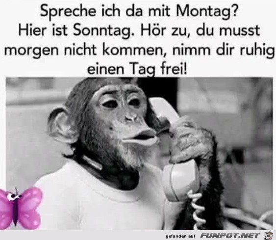 Spreche ich