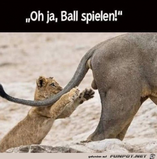 Ball spielen