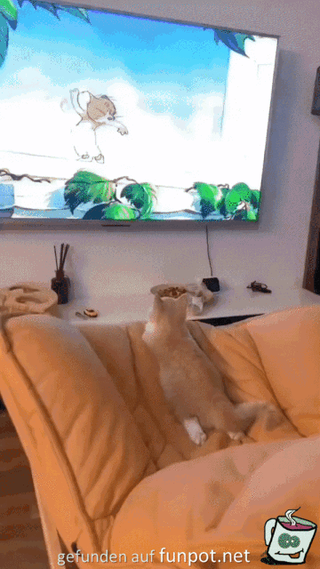 Katze guckt fern