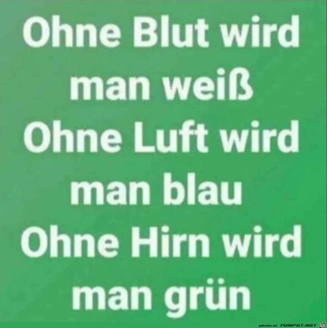 Ohne Blut