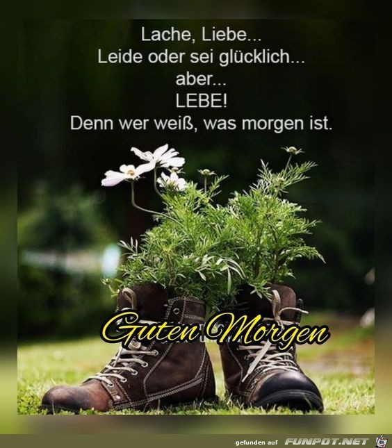 Lebe Liebe oder Lache und sei glcklich