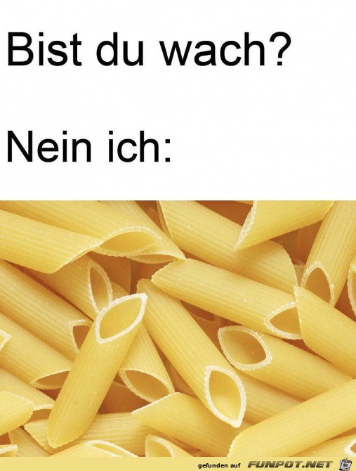 Ich penne