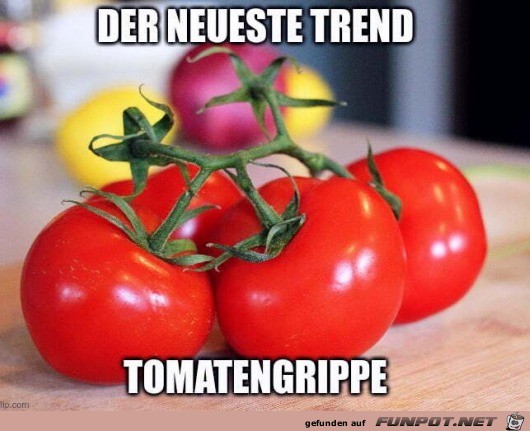 Tomatengrippe