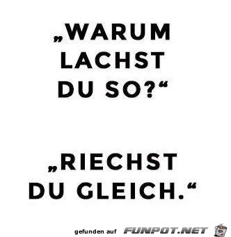 Warum lachst du Warum lachst du