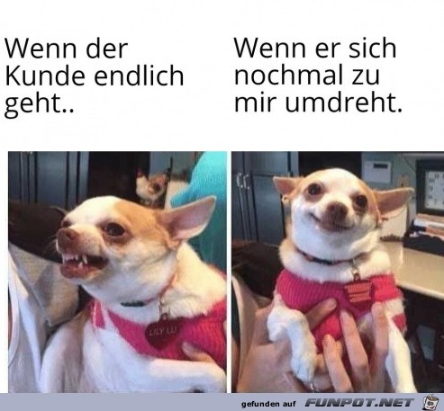 Zwei Gesichter