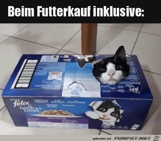 Die Katze gibt es dazu