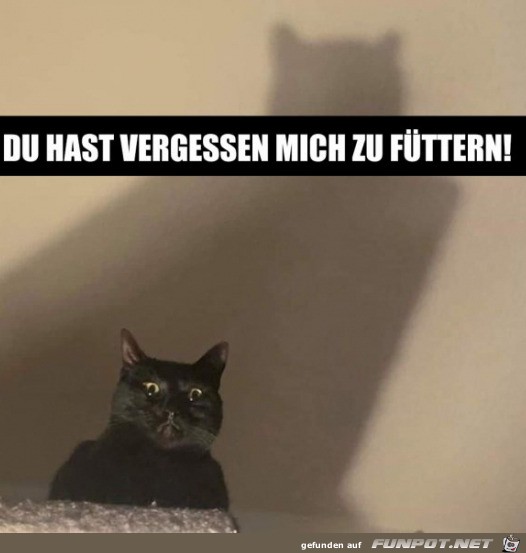 Du hast mein Futter vergessen