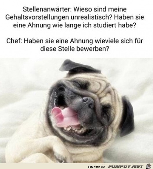 Da lachen ja die Hunde