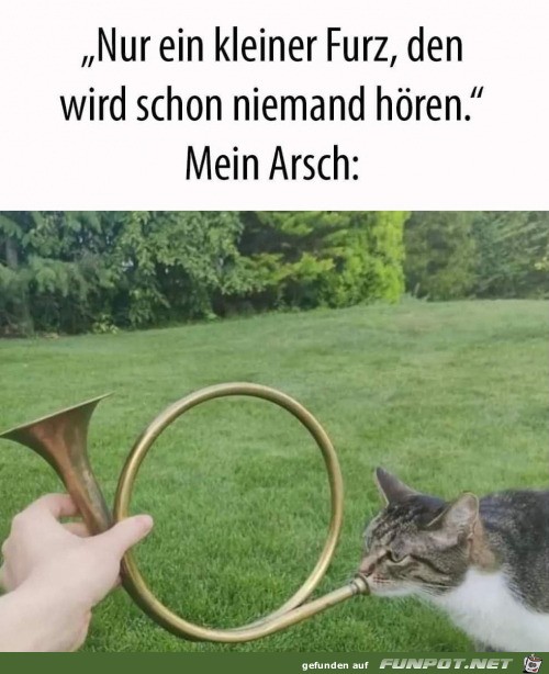 So kann es gehen