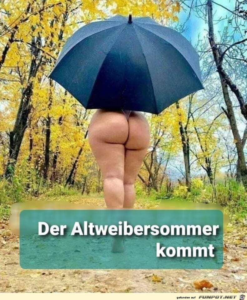 Altweibersommer