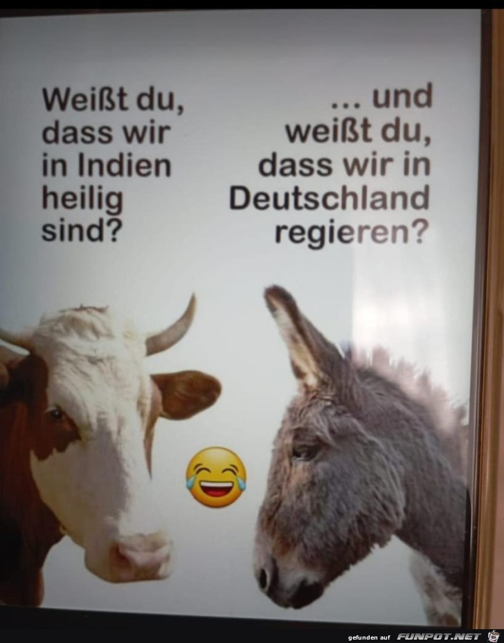 Gute Fragen