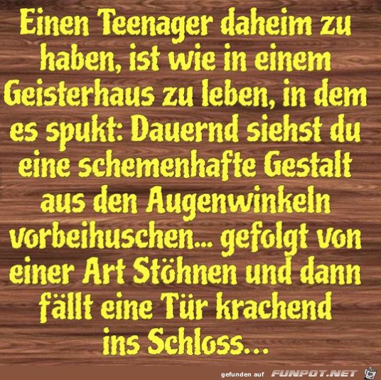 Einen Teenager daheim haben