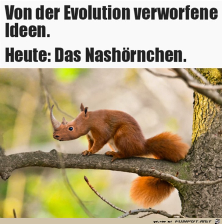 Nashrnchen