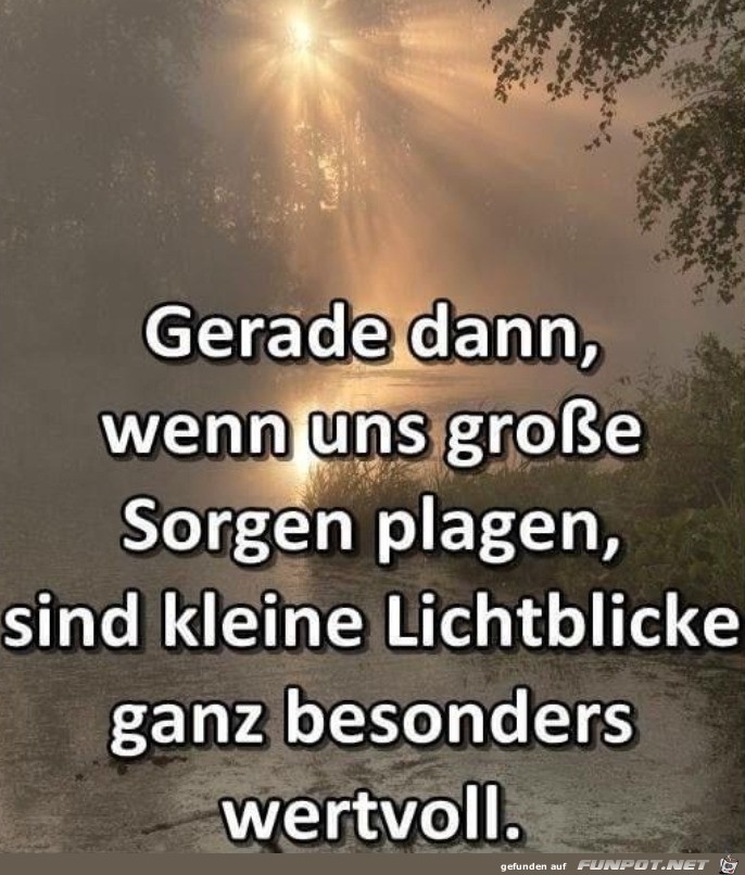 Kleine Lichtblicke