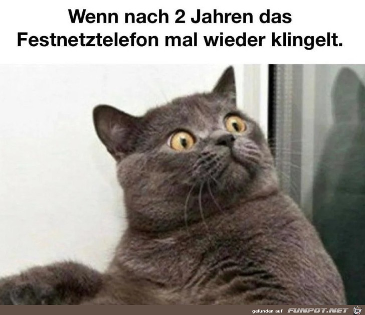 Das Festnetz klingelt