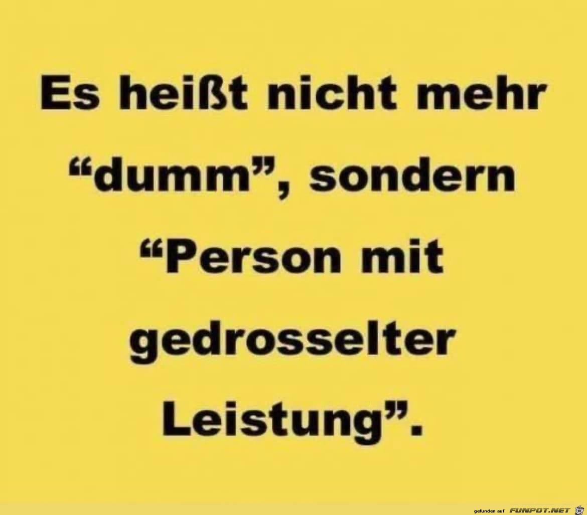 Lustiger Spruch Dumm Lustiger Spruch Dumm