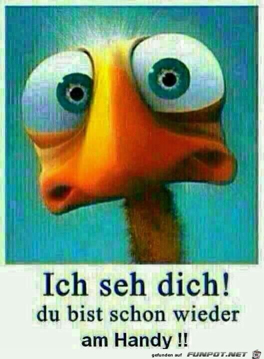 Ich seh dich Ich seh dich