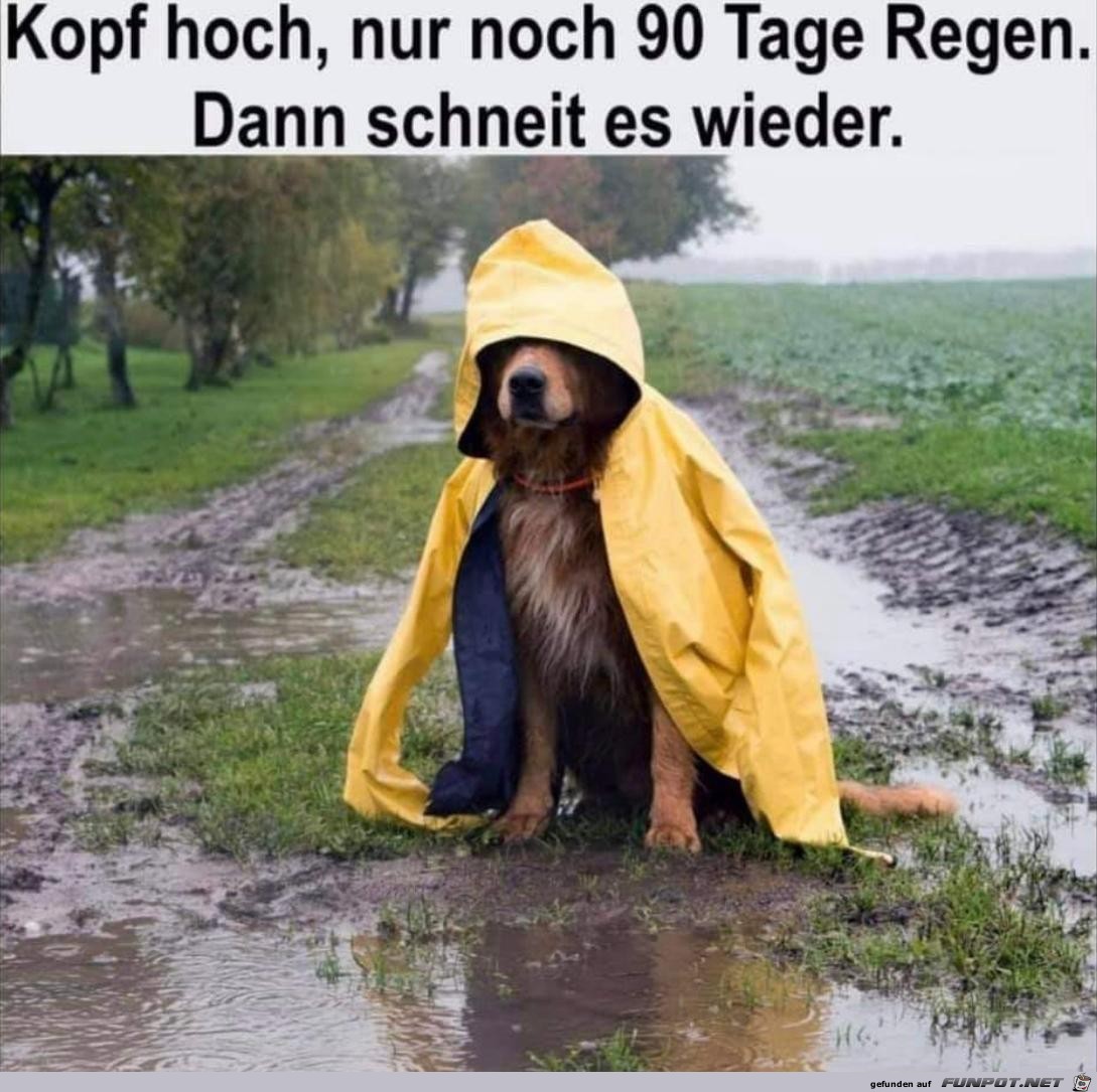 Kopf hoch