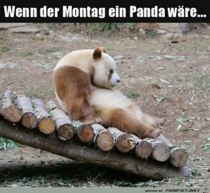 Der Montag