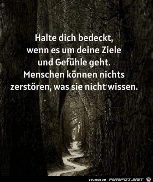 Halte dich bedeckt