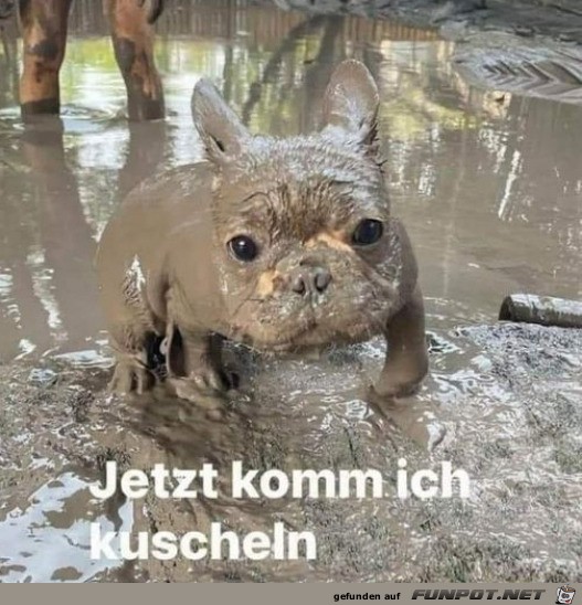 Jetzt komm ich kuscheln