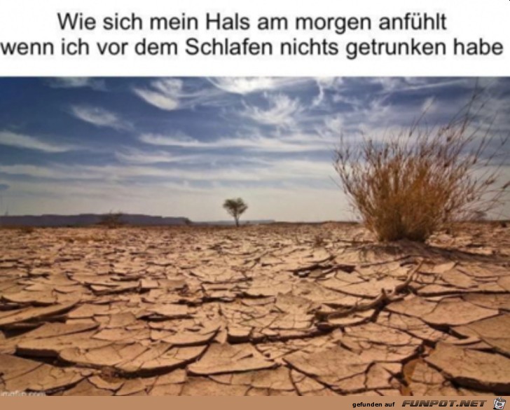 witzige Bilder aus verschiedenen Blogs