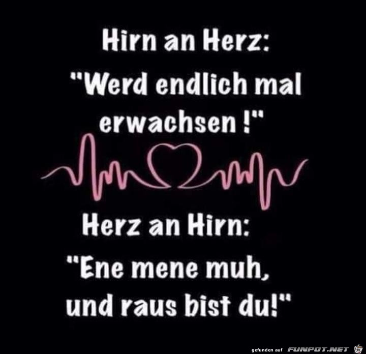 Hirn an Herz