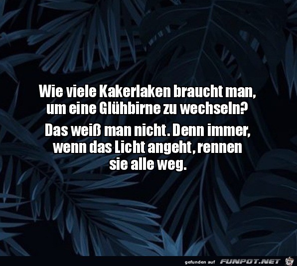 Lustige Frage