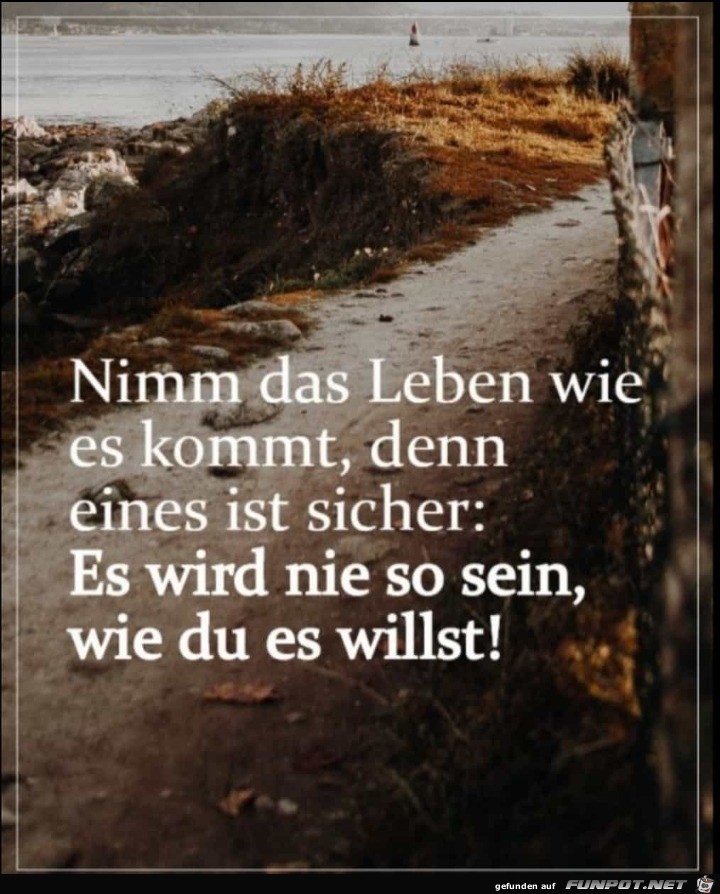 Nimm das Leben wie es ist