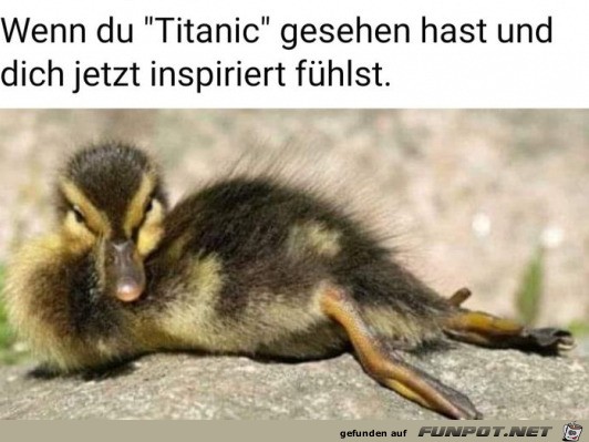 witzige Bilder aus verschiedenen Blogs