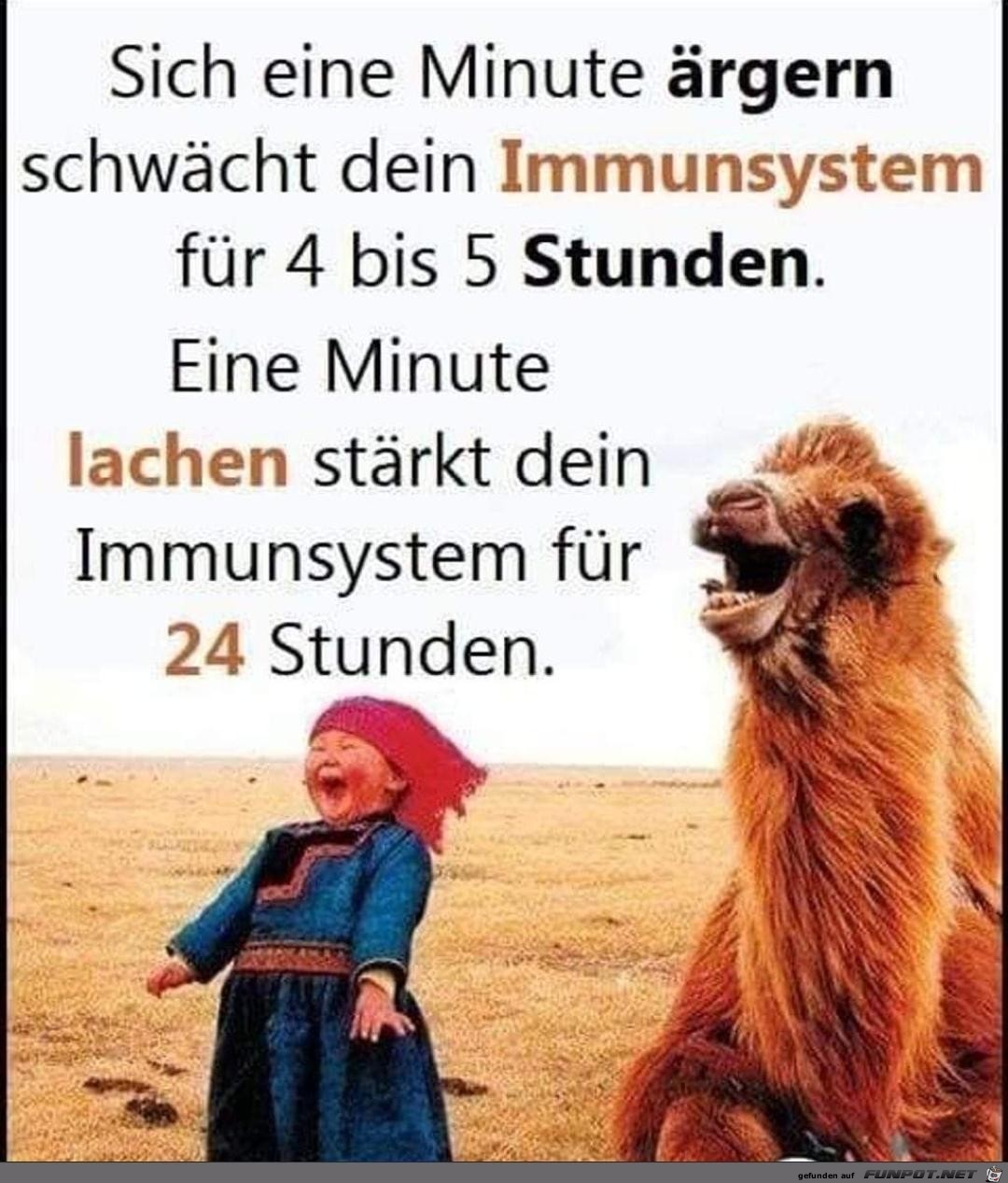 Immunsystem