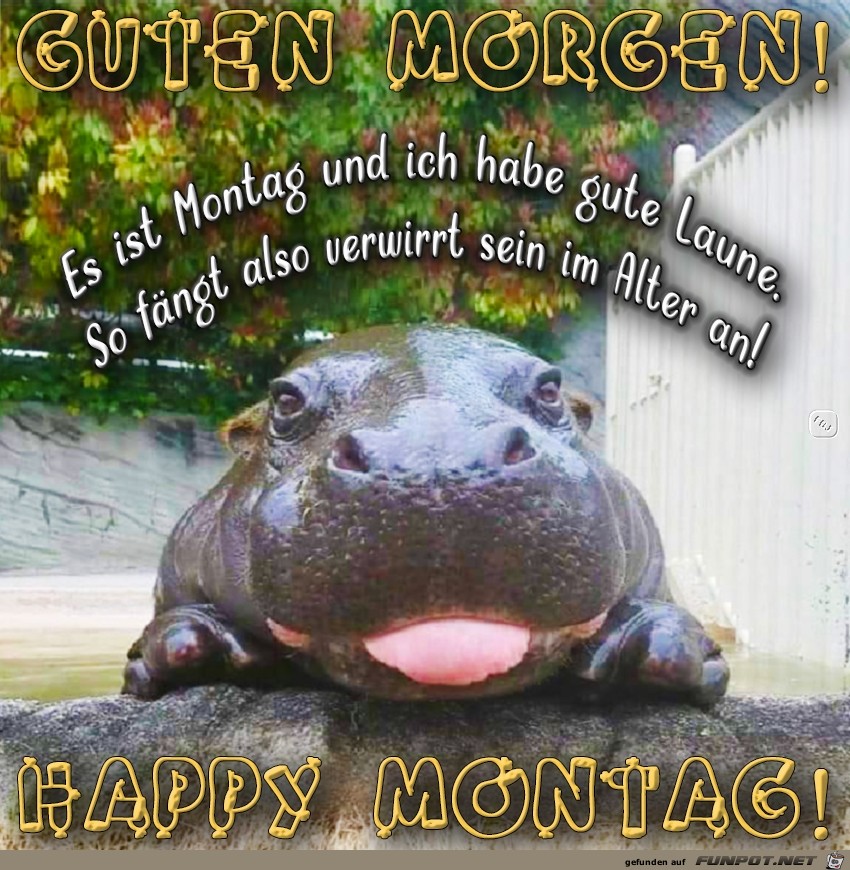 Montag