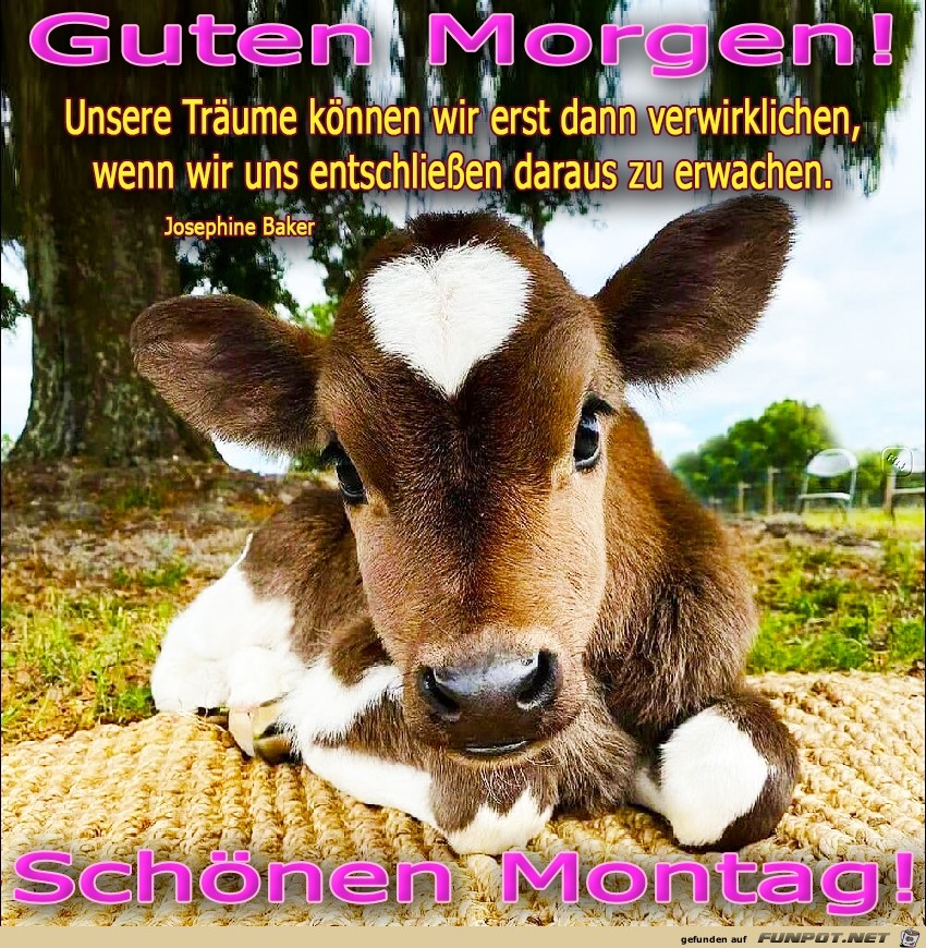 Montag