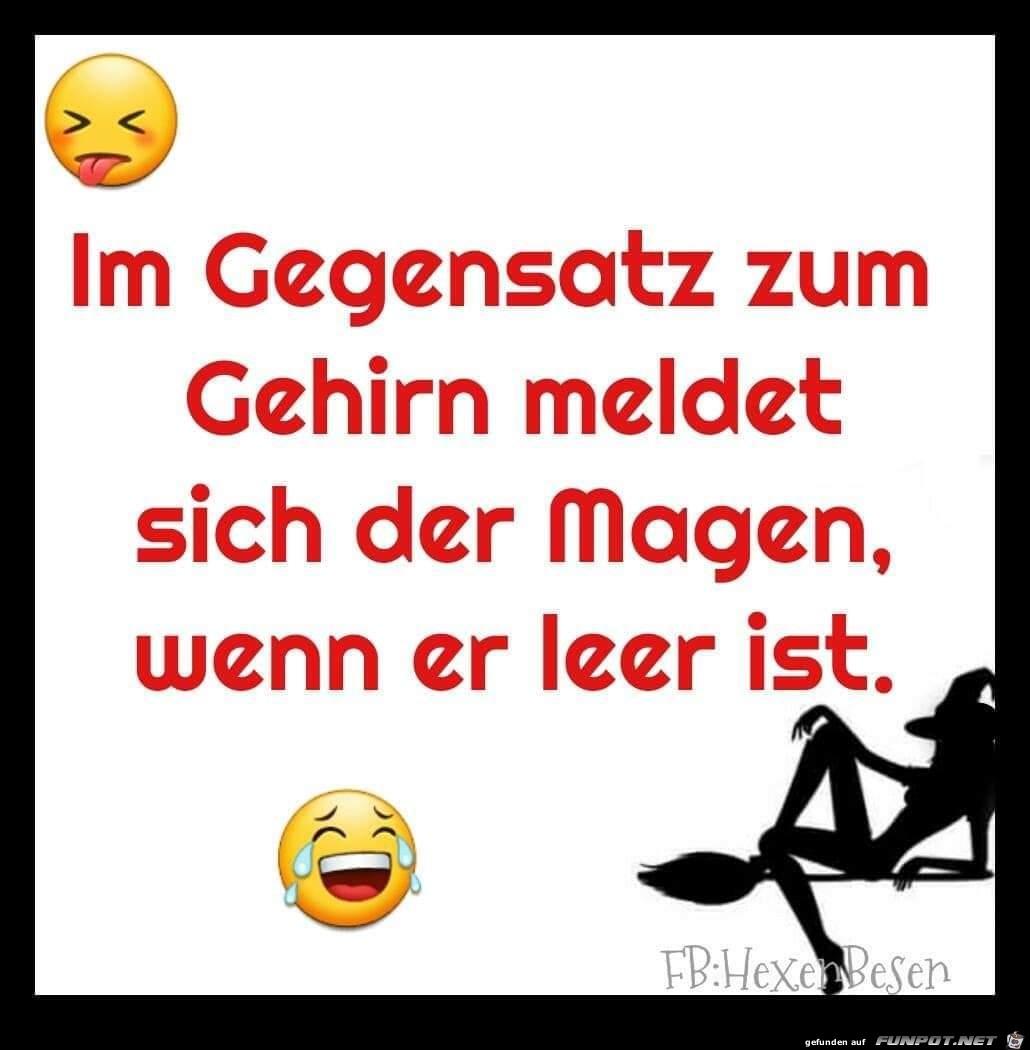 Gegensatz