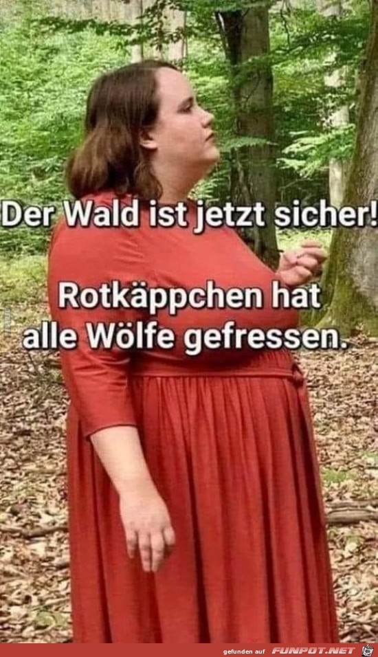 Der Wald ist sicher