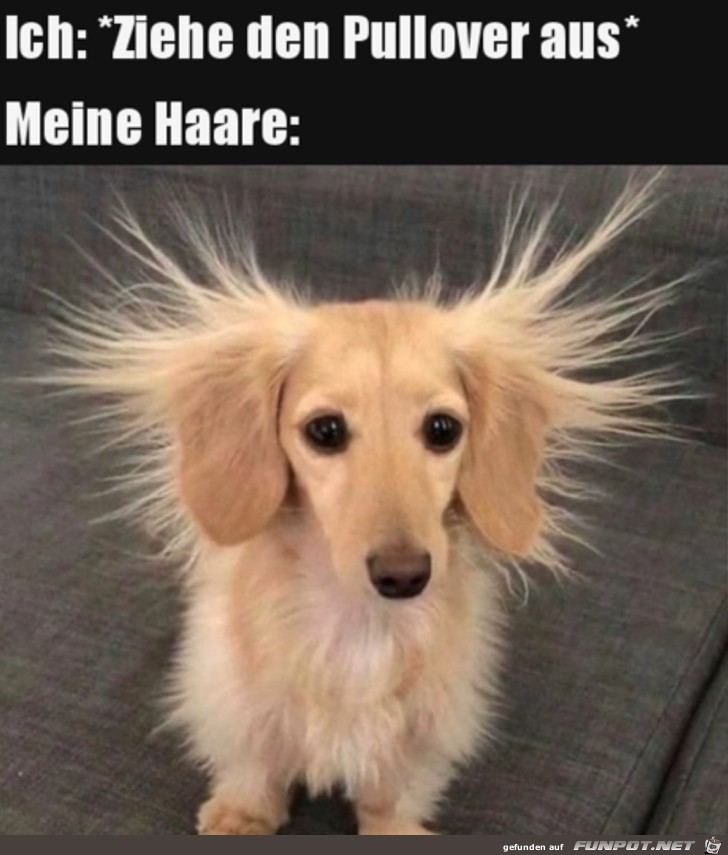 Elektrisierte Haare