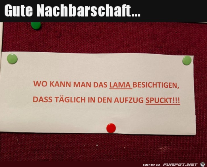 Super Nachbarn Super Nachbarn