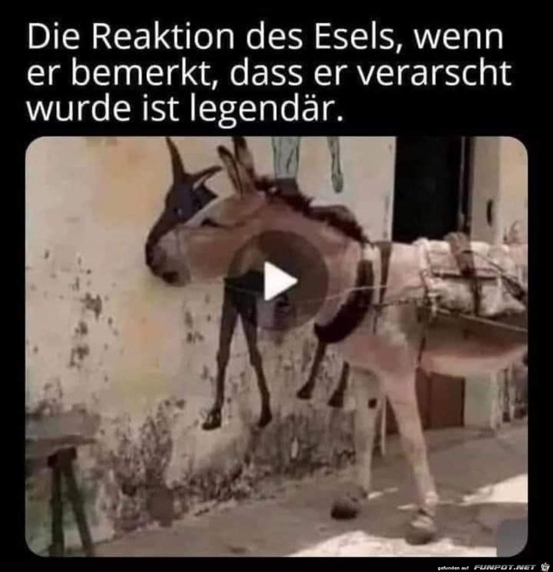 Reaktion