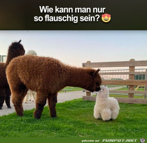 Sehr flauschig