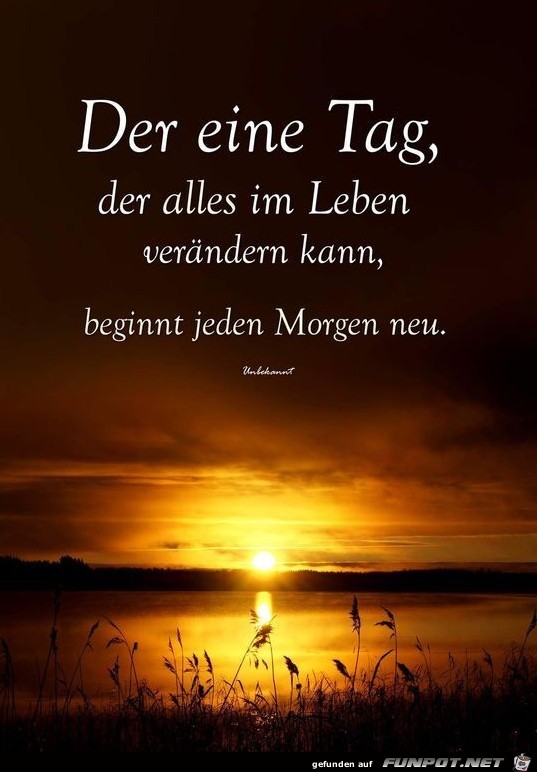 Der eine Tag der alles verändern kann Der eine Tag der alles verändern kann