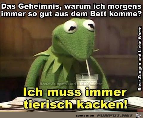 Das Geheimnis