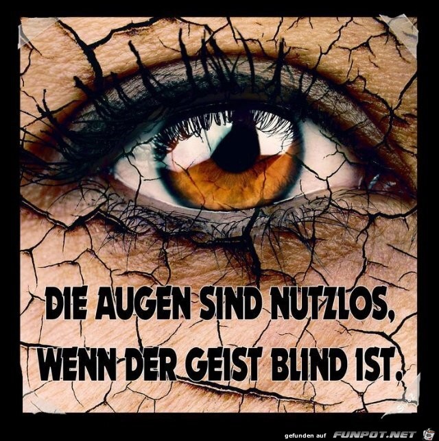 Die Augen