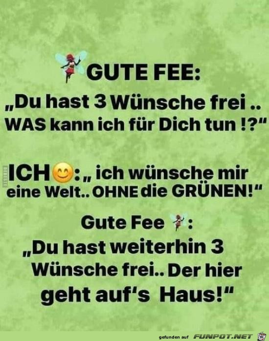 Gute Fee