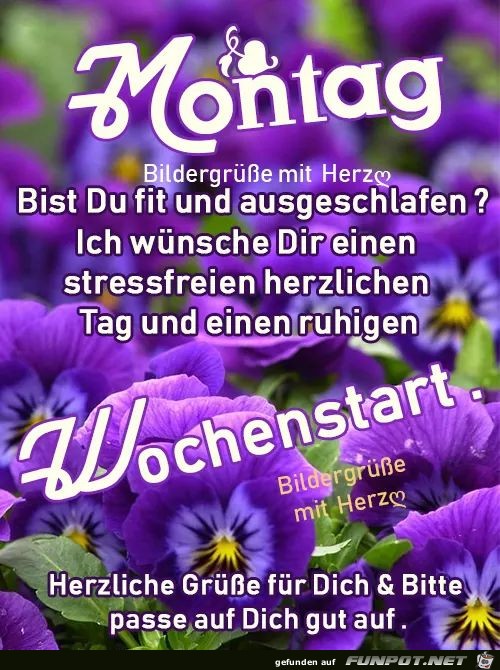 Montag