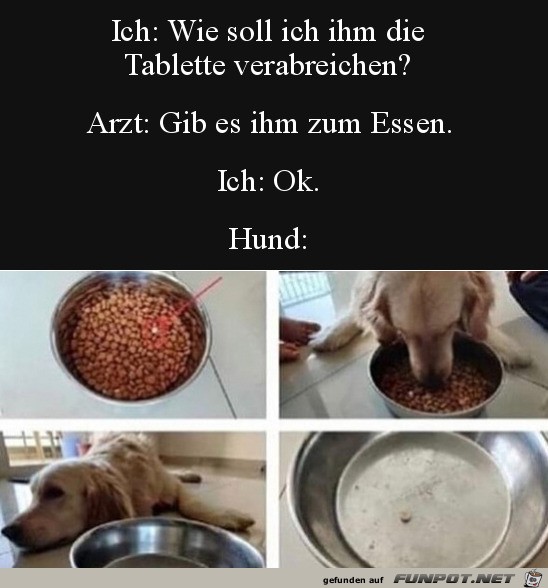 Typisch Hund