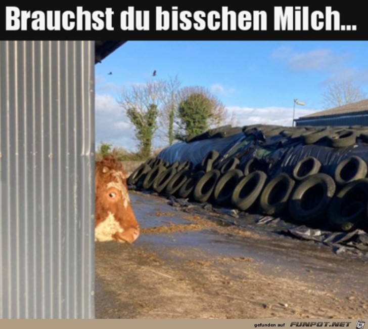 Brauchst du Milch?