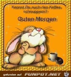 Guten Morgen