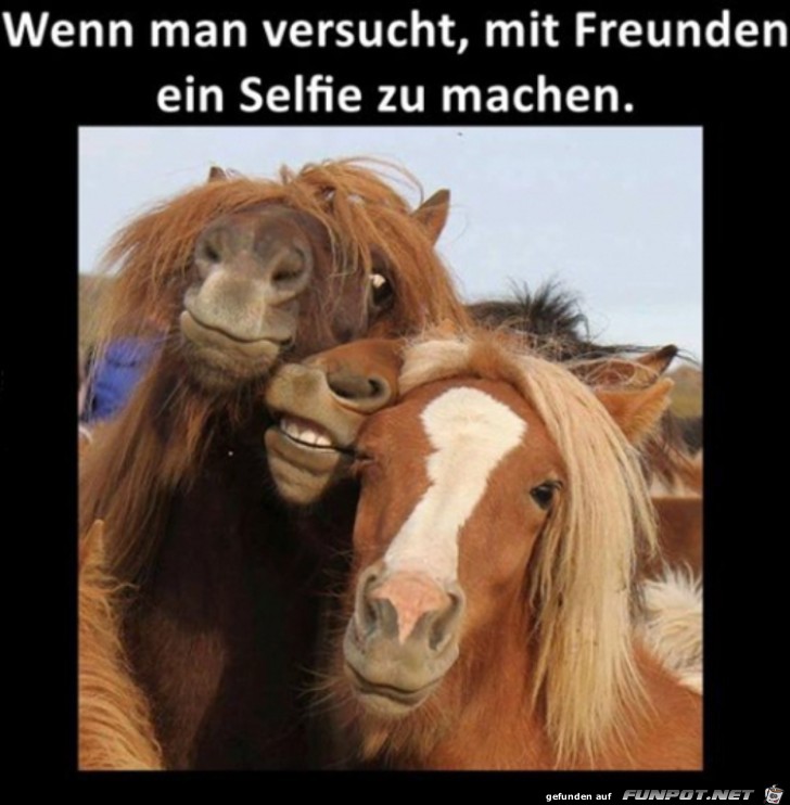 Ein Selfie mit Freunden