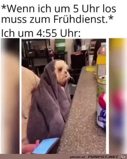 Es ist frh