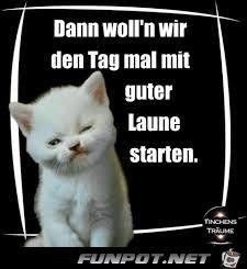 Gute Laune